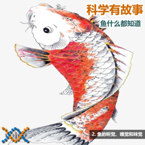 鱼什么都知道（2）：鱼的听觉、嗅觉和味觉