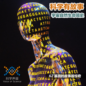 宇宙自然生命简史：62 基因的故事很惊奇