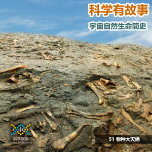 宇宙自然生命简史：51物种大灭绝