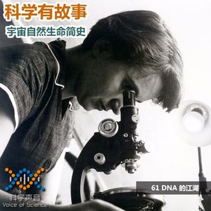 宇宙自然生命简史：61 DNA的江湖