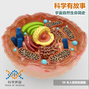 宇宙自然生命简史：56令人惊叹的细胞