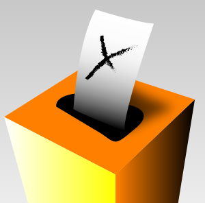 82. Voting, Elections, Politics and Government