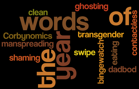 312. The Words of the Year (Part 3) with Amber & Paul