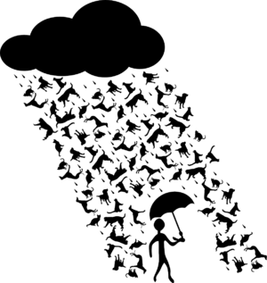 135. Raining Animals - "It's raining cats and dogs"