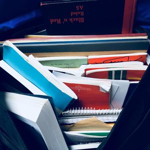593. Going through pages in an old diary