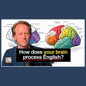 Neuroscience & Learning English 🧠 11 Surprising Facts [1002]