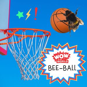 Bee-Ball: A Buzzer-Beating Investigation Into Why Insects Play