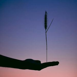 42 深度联结的4个二八法则【咨询手记】