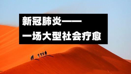 29 新冠肺炎，一场大型社会疗愈