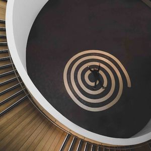 50 你一弃疗，身体就自愈——Orthobionomy教会我的10件事