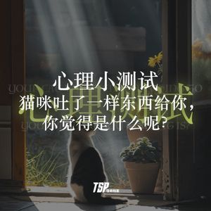 心理小测试：猫咪吐了一样东西给你，你觉得是什么呢？
