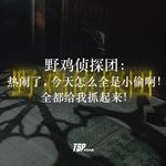 野鸡侦探团：热闹了，今天怎么全是小偷啊！全都给我抓起来！