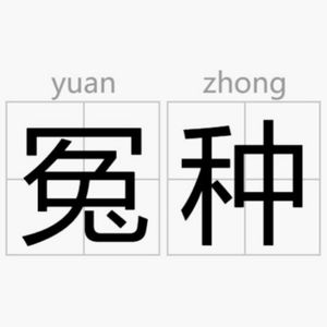 我就是个大冤种，总是在花冤枉钱