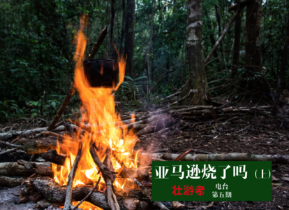 Vol.5:亚马逊烧了吗-我看到的和看不到的雨林之殇