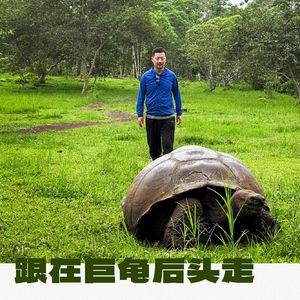 185 |拉美| 跟在巨龟后头走 - 矛盾、省钱、狗东西和2023最后的目的地