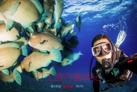 Vol.54|澳大利亚| 打工旅行搬砖记 - 沙发奇遇、三步口诀和大堡礁水下世界
