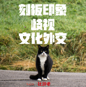 Vol.34|夜谈| 刻板印象、歧视和中国旅行者的“文化外交”