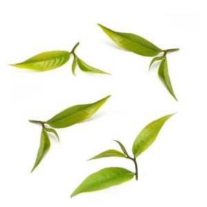 从八卦茶会到国粹— 伦敦在燃烧，茶还得喝，舞还要跳