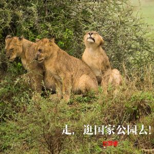 104 | 走，逛国家公园去！【日谈公园X日知录X壮游者】