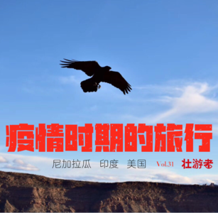 Vol.31|口述| 疫情时期的旅行-游轮、海关、印度鬼打墙和经历了生死时刻