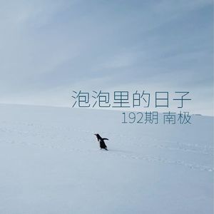 192 | 南极| 泡泡里的日子 -应急包、阶级、消毒、企鹅高速路和拍照的欲望