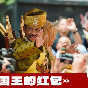 172 |文莱| 国王的红包 - 石油、敲门饭、三种身份和我在这里长大