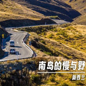 273|新西兰|南岛的慢与野 - 霍比特人、小鸟、核桃和他们的八号铁丝精神