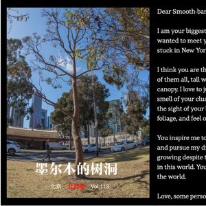 113 |澳大利亚| 墨尔本的树洞 - 移民、鳄鱼邓迪、一次历险和上山下海的自由