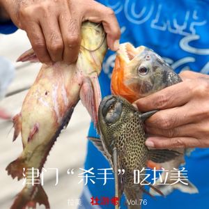 Vol.76 |腹地| 津门“杀手”吃拉美-食人鱼、羊驼肉、秘鲁国菜、奴隶饭和诗歌