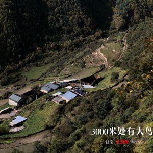 Vol.99 |甘南| 3000米处有大鸟 - 僧舍、草原、扎尕尔湖和那九家的厥麻猪