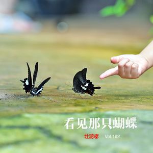 162 看见那只蝴蝶 - 拟态、灯诱、金斑喙凤蝶和蝴蝶的语言