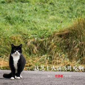 Vol.92 |瑞士| 这芝士火锅该咋吃啊 - 猫、雇佣兵、房租和打死也不能说
