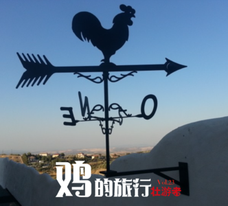 Vol.23 |腹地|鸡的旅行-在罗马算命、在法国登顶、在秘鲁解酒、在美国治病