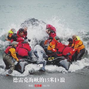 Vol.79 |南极| 德雷克海峡的15米巨浪 - IAATO、晕船、禁忌和探险队员的炼成