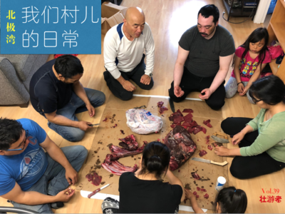 Vol.39|北极| 我们村儿的日常- 狩猎、吃生肉、狭路熊逢和因纽特人的传统