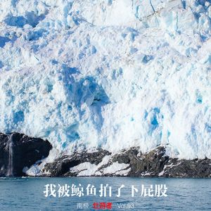 Vol.93 |南极| 我被鲸鱼拍了下屁股 - 爱情鸟、海豹打架和不忠的企鹅