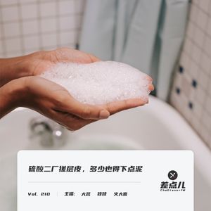 210. 硫酸二厂搓层皮,多少也得下点泥 | 差点儿FM
