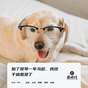 Vol. 114 拍了领导一年马屁，我终于被裁员了（无“低俗擦边球”版）｜ 差点儿FM