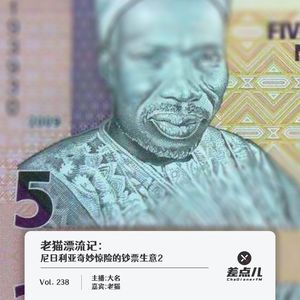 238.老猫漂流记：尼日利亚奇妙惊险的钞票生意2｜差点儿FM