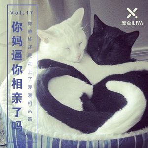 Vol. 17 你妈逼你相亲了吗 | 差点儿FM