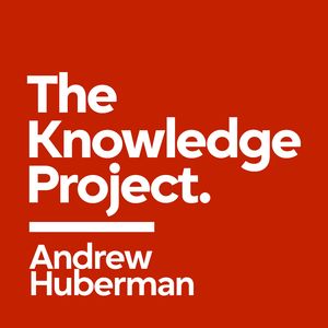 Andrew Huberman: The Science of Small Changes