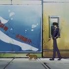 Safe Records Vol.5 | I wish you were here