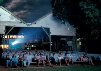 去电影节看电影