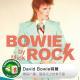 音乐人心头好：David Bowie特展