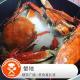 美食莫扎特：蟹地
