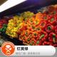 美食莫扎特：红黄绿