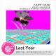 糖蒜爱音乐之The Selector：Last Year