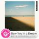 糖蒜爱音乐之The Selector:Saw You in a Dream