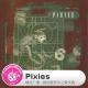 糖蒜爱失真:Pixies