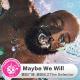 Maybe We Will·糖蒜爱音乐之The Selector